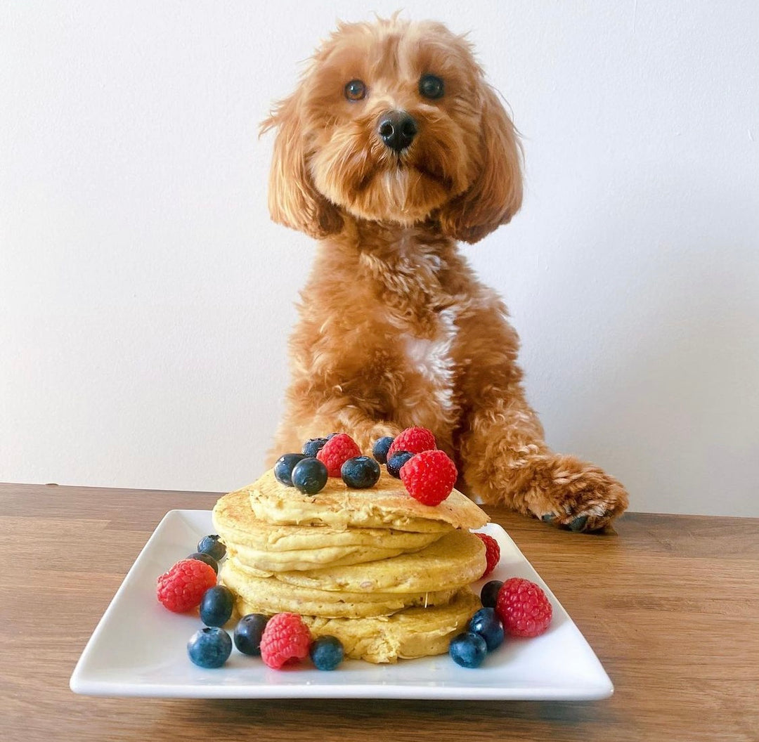 Get Creative with Your Pup's Pancake Toppings: A Guide to Bark and Brunch Fun!