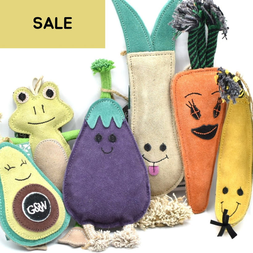 Eco Dog Toys