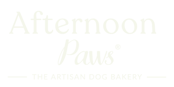Afternoon Paws