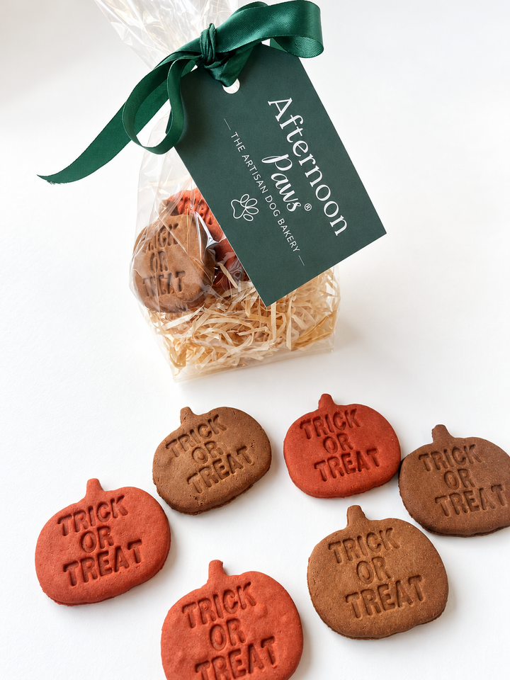 *LIMITED EDITION* Pumpkin 'Trick or Treat' Dog Biscuits
