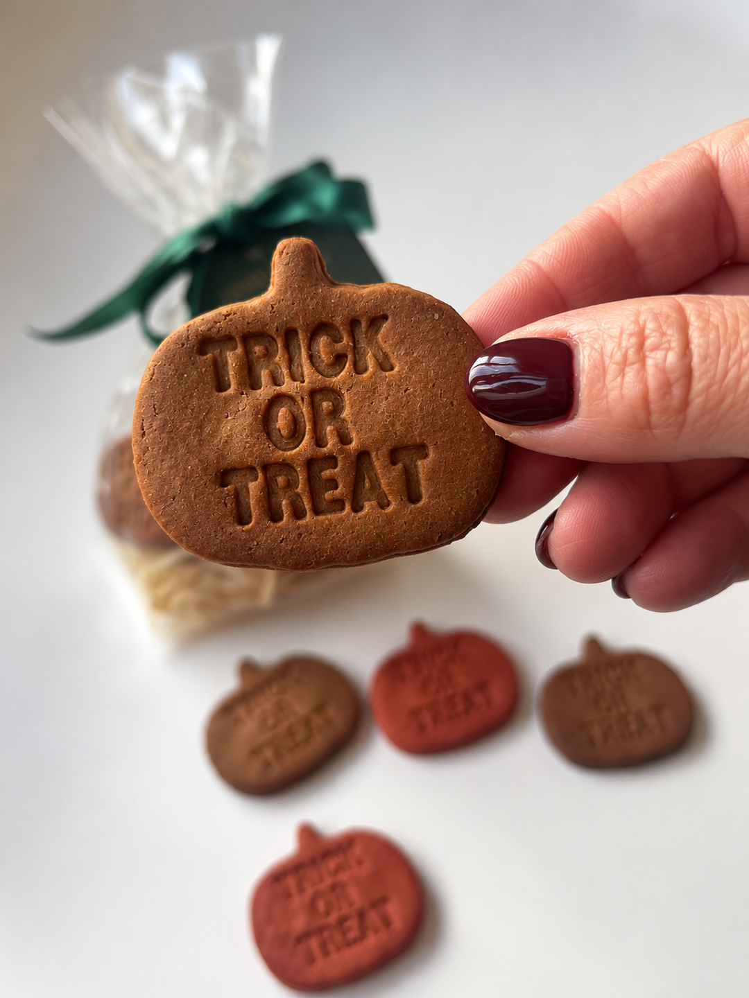 *LIMITED EDITION* Pumpkin 'Trick or Treat' Dog Biscuits