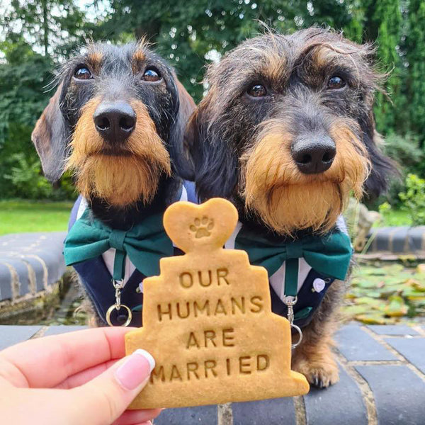 "My Humans Are Married" Personalised Dog Biscuits Wedding Gift