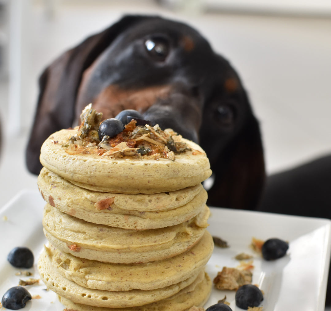 "Bark & Brunch" Pancake Kit For Dogs