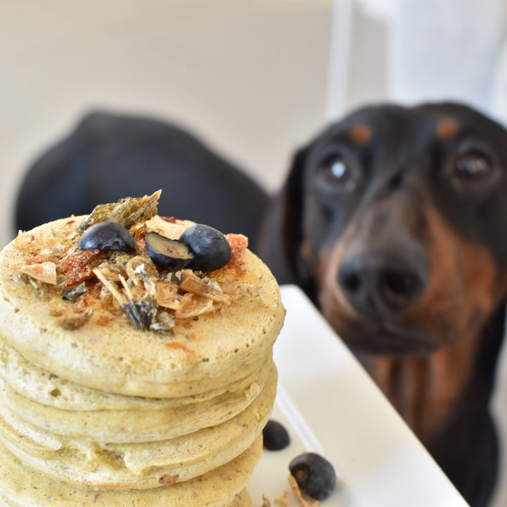 "Bark & Brunch" Pancake Kit For Dogs