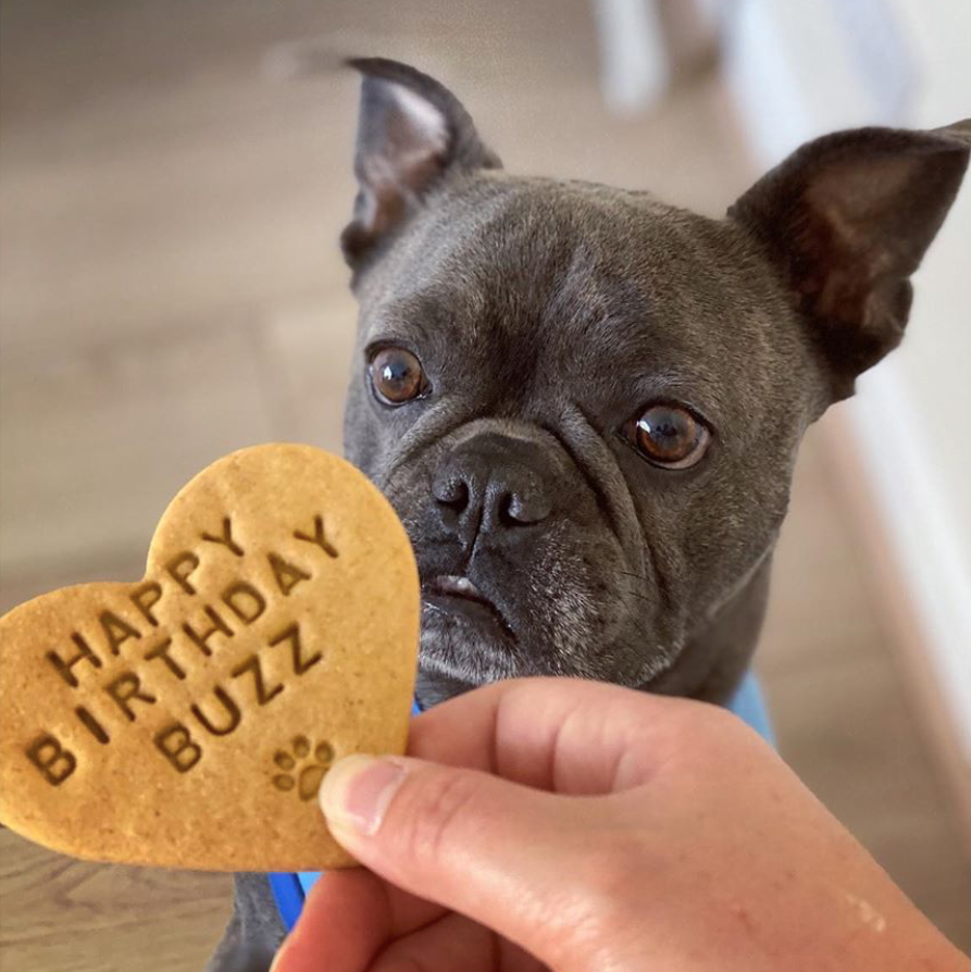 Happy birthday dog clearance biscuit