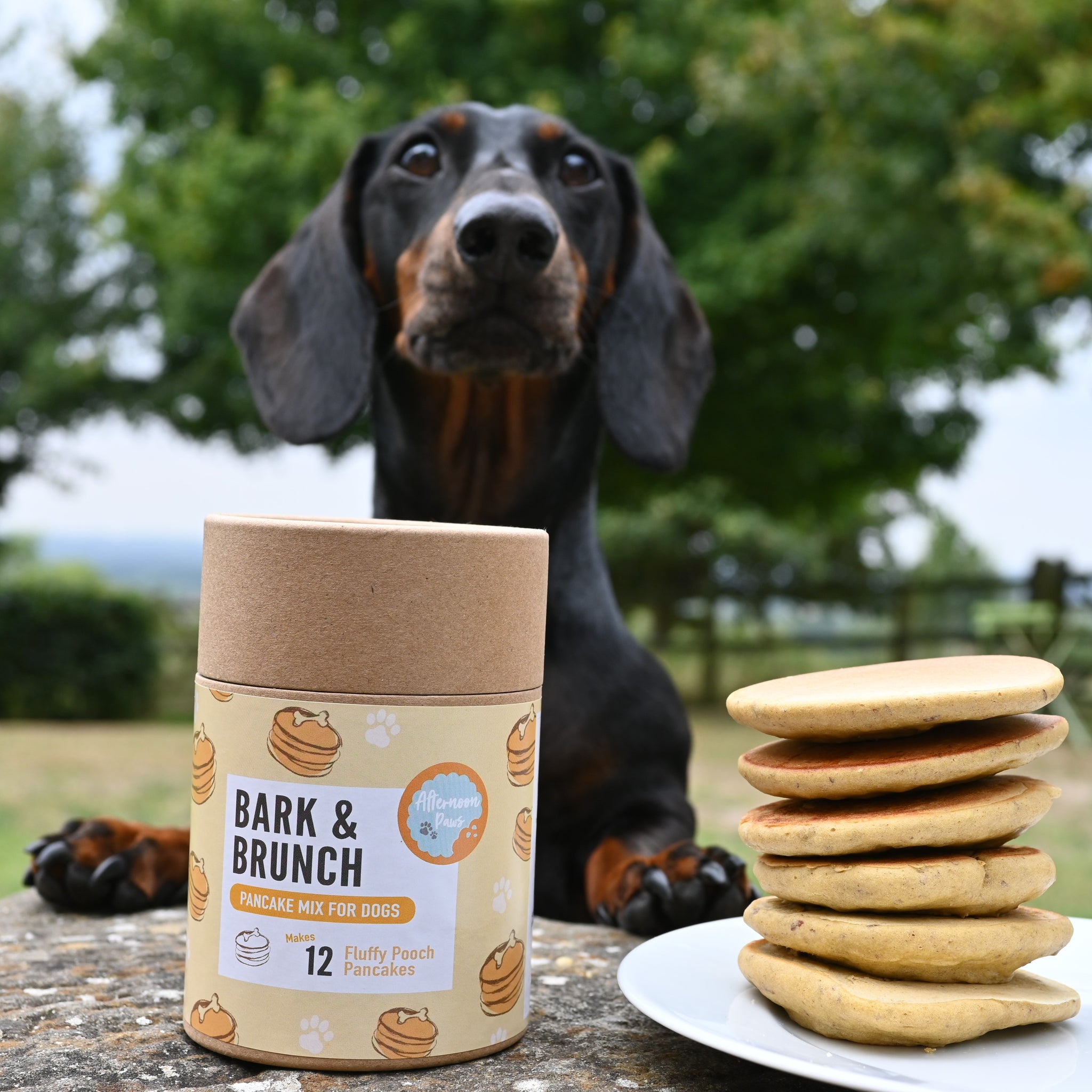 "Bark & Brunch" Pancake Kit For Dogs