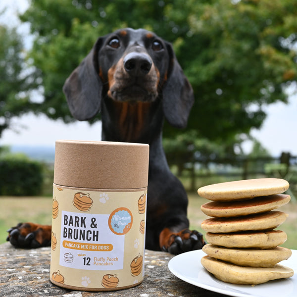 "Bark & Brunch" Pancake Kit For Dogs