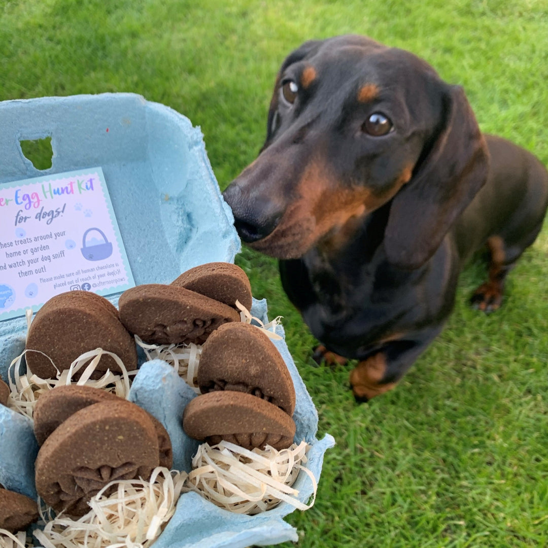 Limited Edition - Personalised Easter Egg Hunt Kit for Dogs