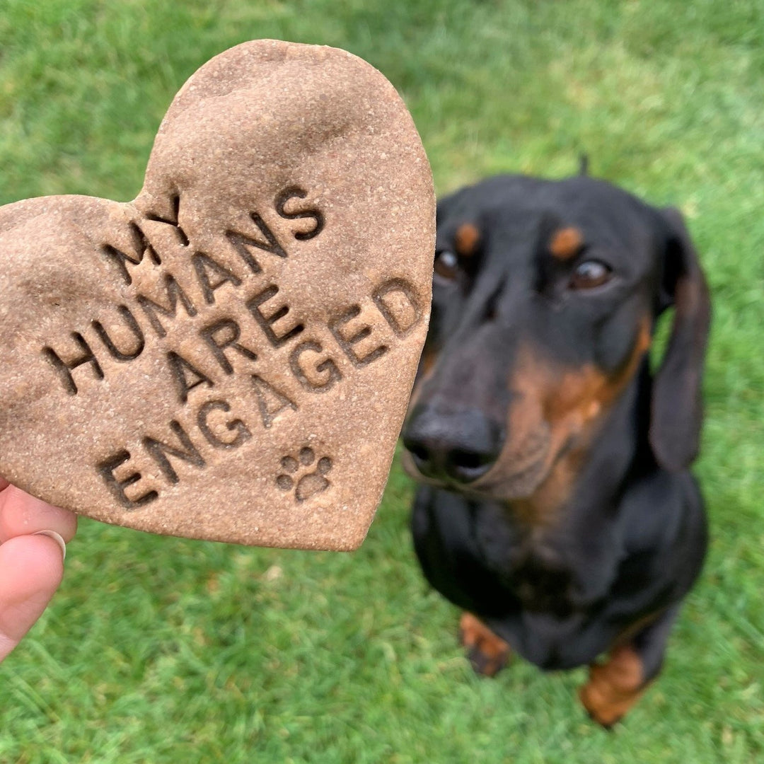 "My Humans Are Engaged" Dog Biscuits Engagement Gift