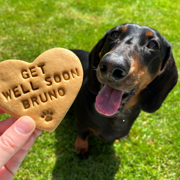 "Get Well Soon" Personalised Dog Biscuits Gift Set