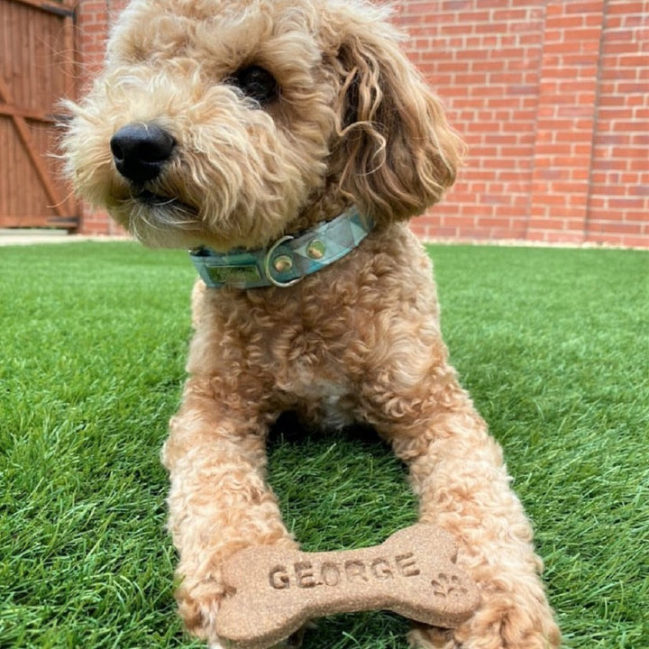 Personalised Dog Treats Gift Set