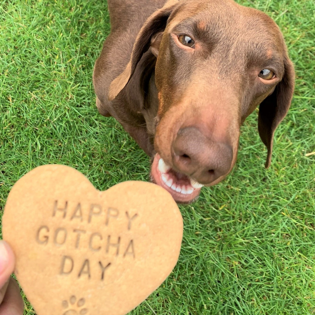 "Happy Gotcha Day" Personalised Biscuits Gift Set