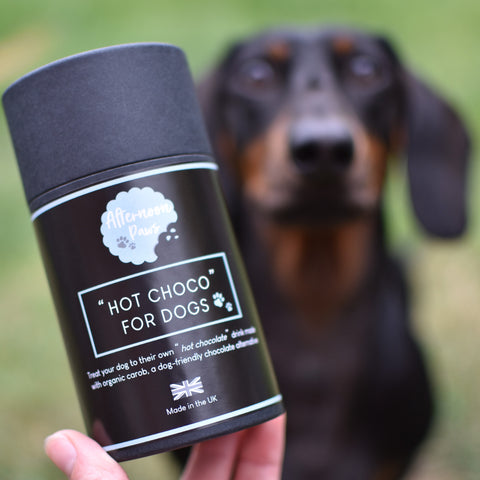 "Hot Choco" For Dogs Kit