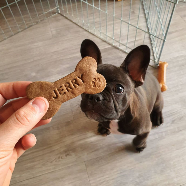 Personalised Dog Treats Gift Set