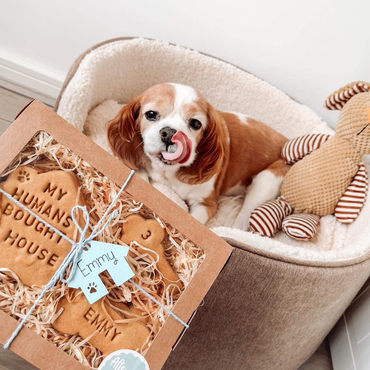 "My Humans Bought a House" Personalised Dog Biscuits Gift Set