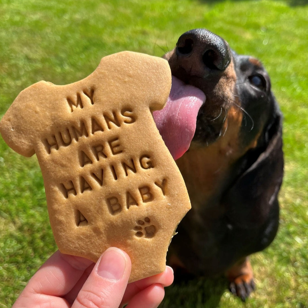 "My Humans Are Having A Baby" Personalised Dog Biscuits Gift Set