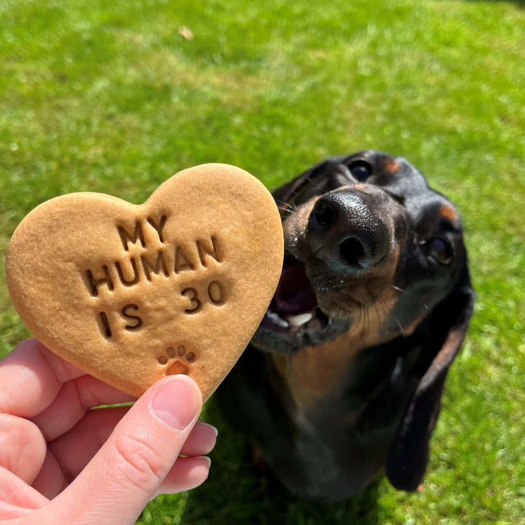 "My Human is ..." Personalised Birthday Dog Biscuits Gift Set