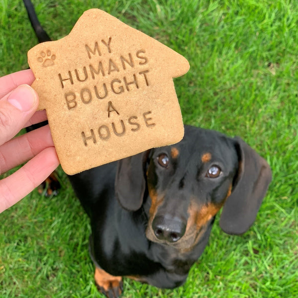 "My Humans Bought a House" Personalised Dog Biscuits Gift Set