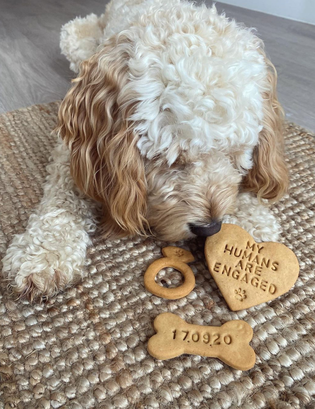 "My Humans Are Engaged" Dog Biscuits Engagement Gift