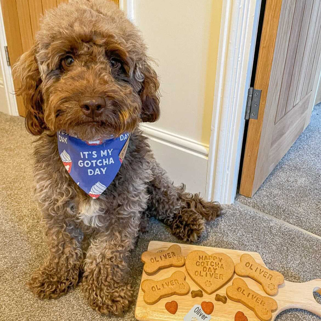 "Happy Gotcha Day" Personalised Biscuits Gift Set