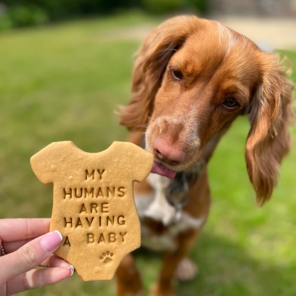 "My Humans Are Having A Baby" Personalised Dog Biscuits Gift Set