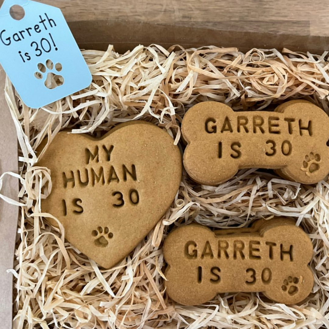 "My Human is ..." Personalised Birthday Dog Biscuits Gift Set