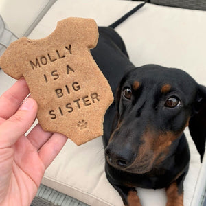 New Baby Annoucement - Personalised Dog Biscuits Gift