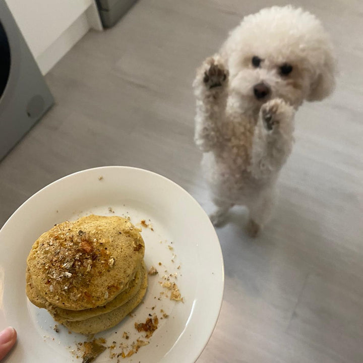 "Bark & Brunch" Pancake Kit For Dogs