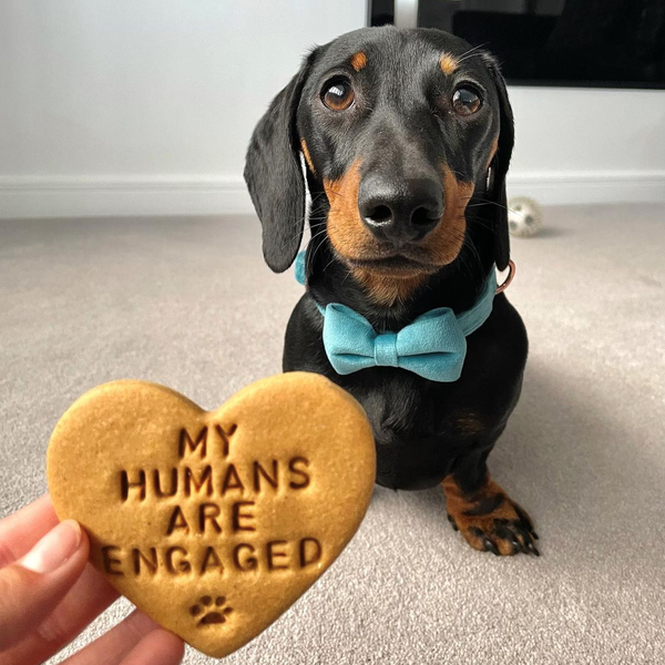 "My Humans Are Engaged" Dog Biscuits Engagement Gift
