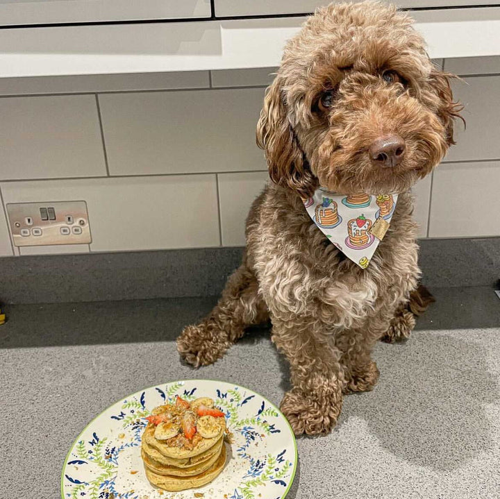 "Bark & Brunch" Pancake Kit For Dogs